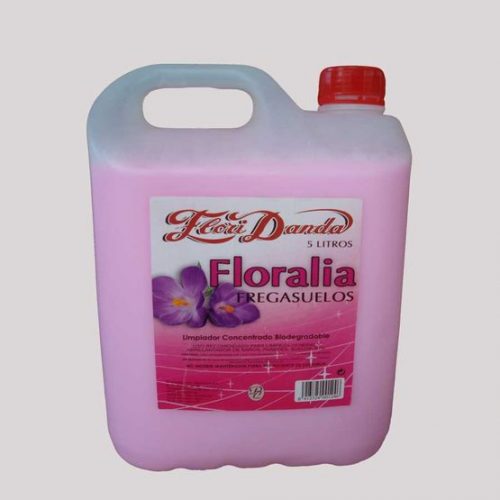 QUIDELIM-fregasuelos-floraria